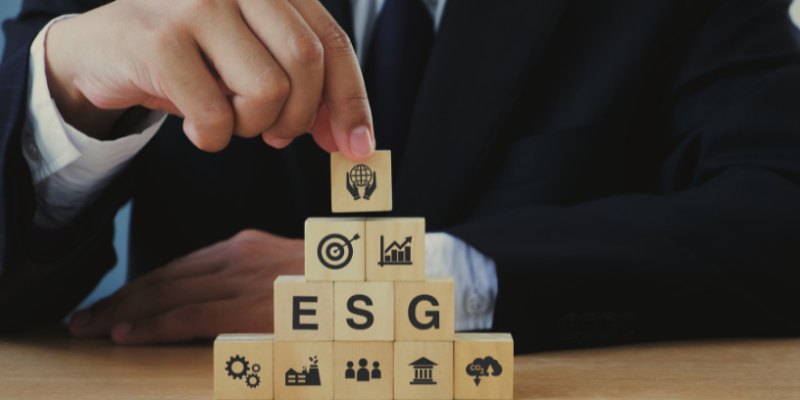 Estratégia verde com propósito: Bráulio Henrique Dias Viana mostra como a consultoria em sustentabilidade fortalece o ESG corporativo.