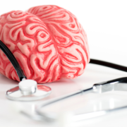 Mauá impulsiona inclusão produtiva e autonomia para pacientes da saúde mental