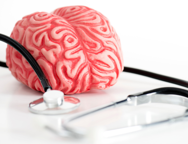 Mauá impulsiona inclusão produtiva e autonomia para pacientes da saúde mental