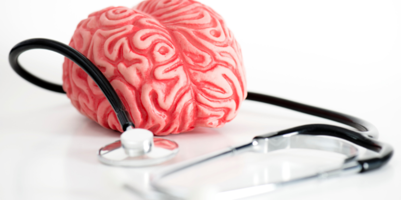 Mauá impulsiona inclusão produtiva e autonomia para pacientes da saúde mental