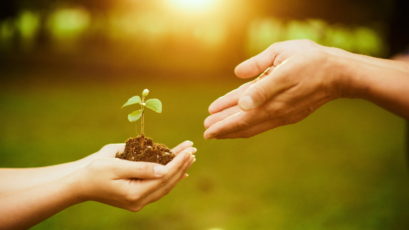 Luciano Colicchio Fernandes