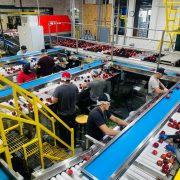 Trabalhadores selecionam maçãs em esteira de uma fábrica de alimentos.